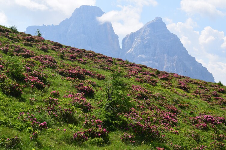 Stupore al Mondeval (Dolomiti Bellunesi)
