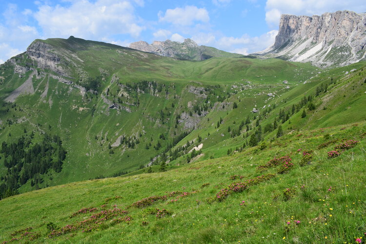 Stupore al Mondeval (Dolomiti Bellunesi)