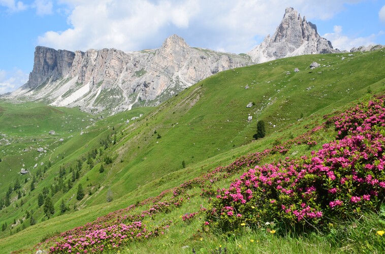 Stupore al Mondeval (Dolomiti Bellunesi)