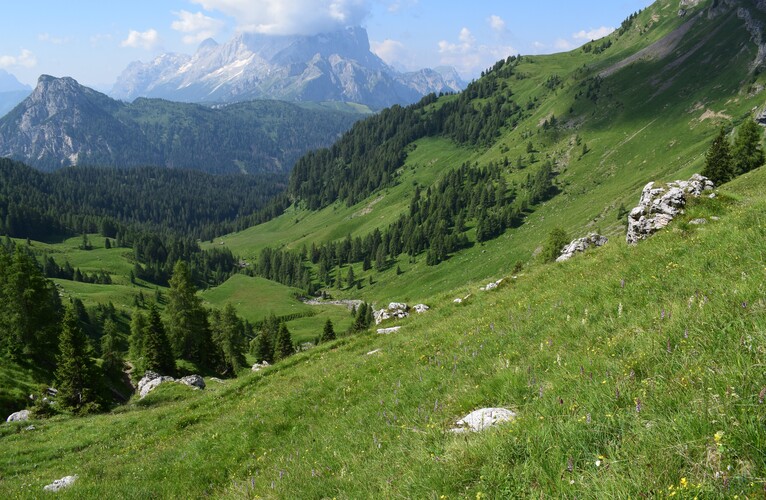Stupore al Mondeval (Dolomiti Bellunesi)