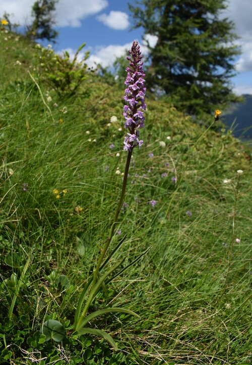 Esplorando la Conca dei Campelli (Val di Scalve)