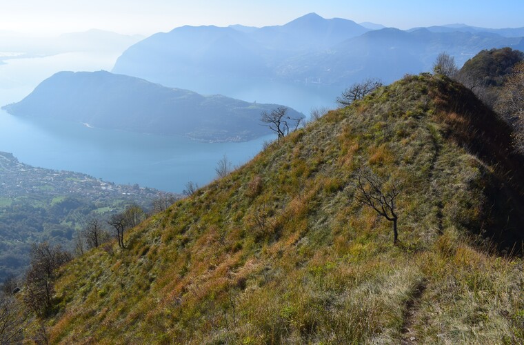 In cresta a Punta Val Mora, fra Punta Dossi e Monte Caprello (Sebino, Prealpi Bresciane)