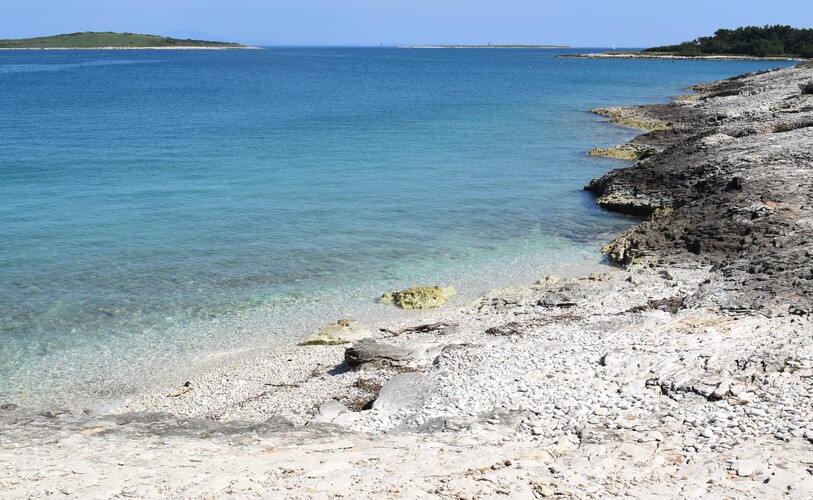 Le Orchidee di Capo Promontore/Kamenjak (Istria, Croazia)