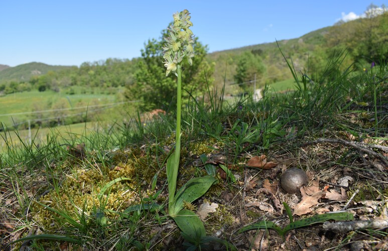 Un 1� Maggio 2025 in Val di Taro (Appennino Parmense)