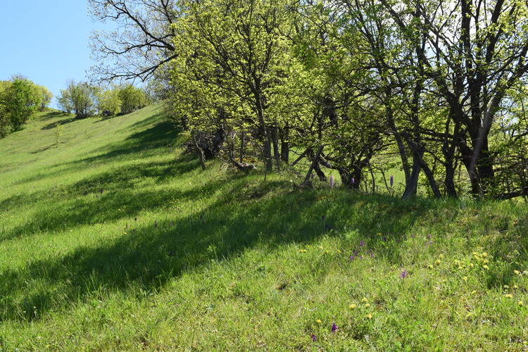 Un 1� Maggio 2025 in Val di Taro (Appennino Parmense)