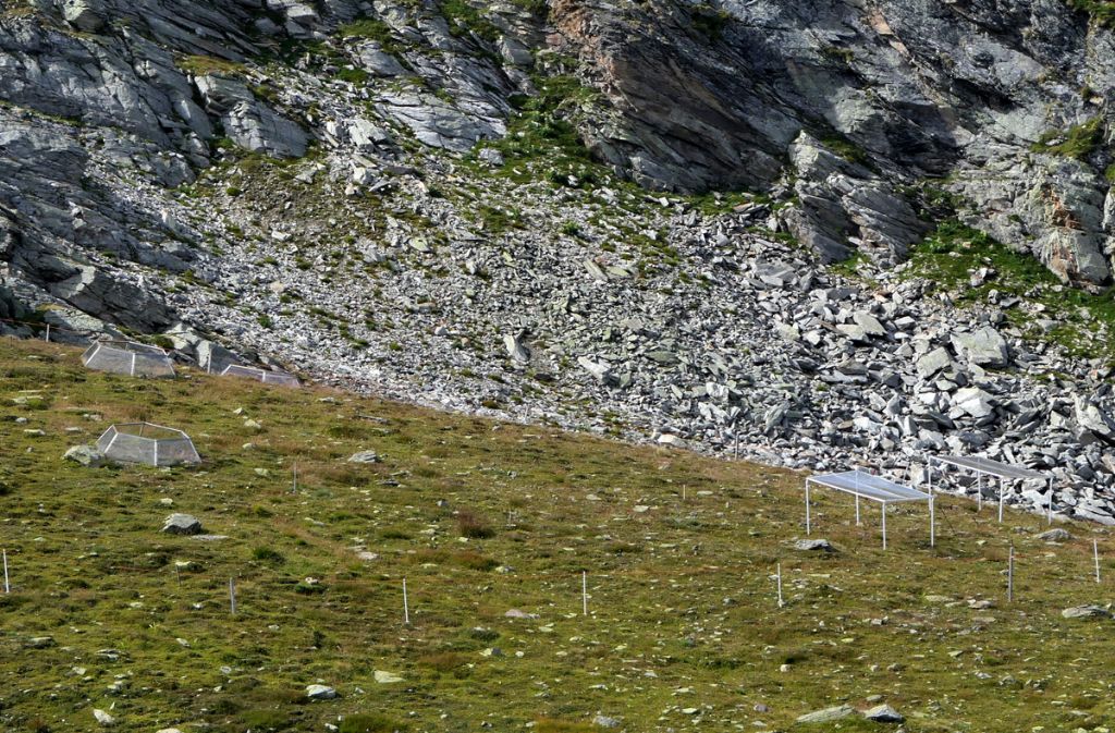 Passo Stelvio