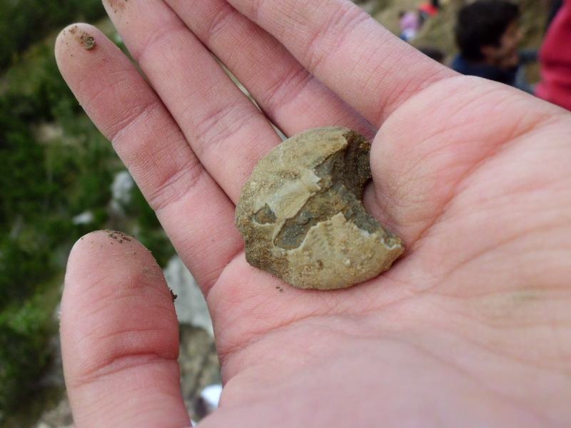 Uscita geologica sul Monte Baldo