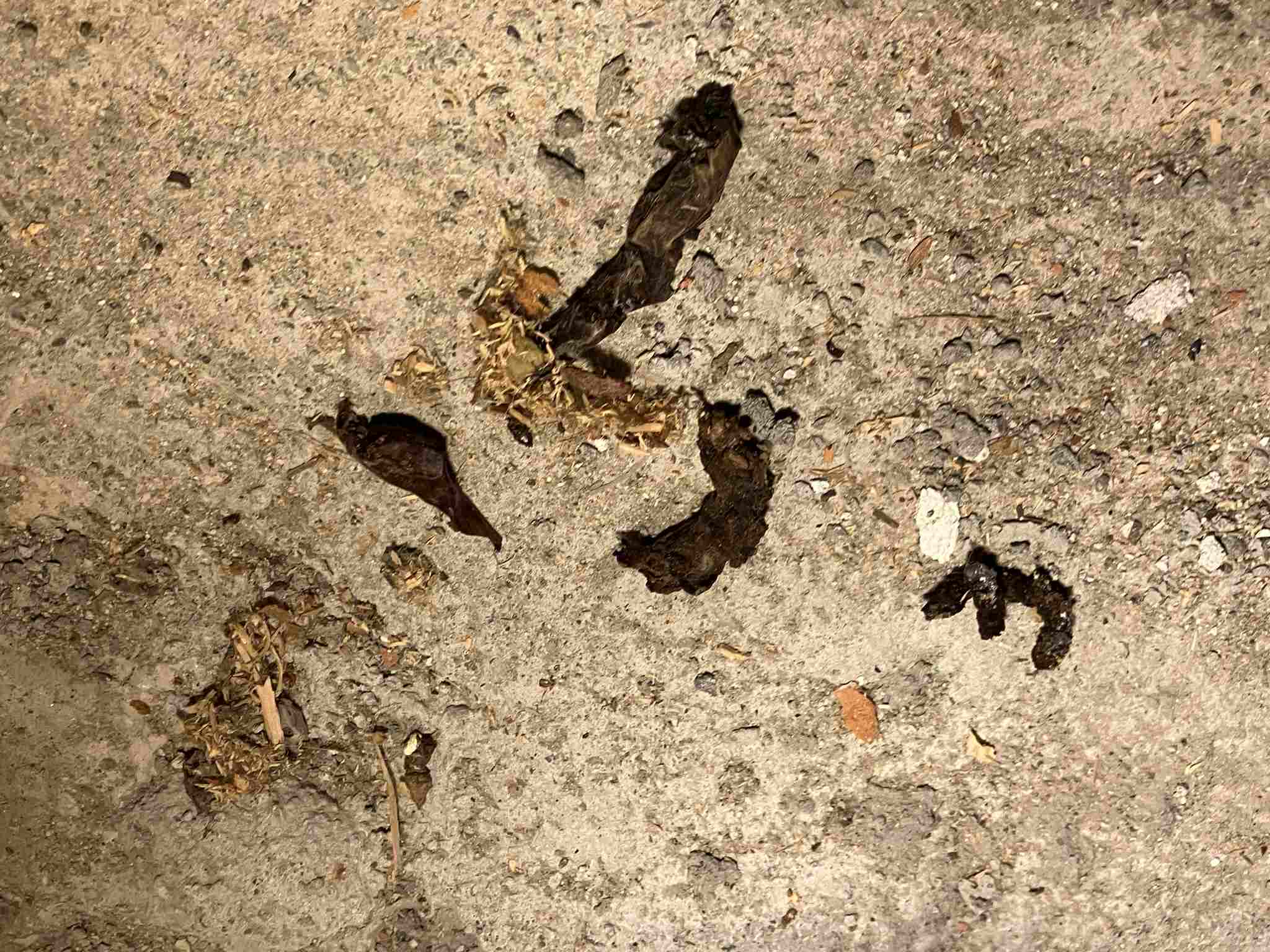 Fatta da identificare