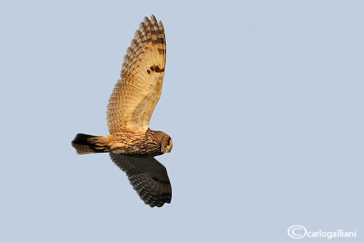 Qualche scatto ripreso