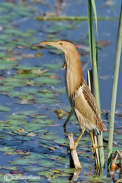 Qualche scatto ripreso