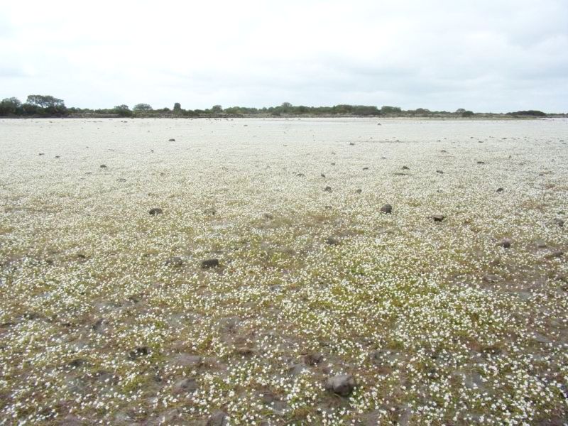 5 giorni nella Sardegna centrooccidentale: paesaggi ed altro.