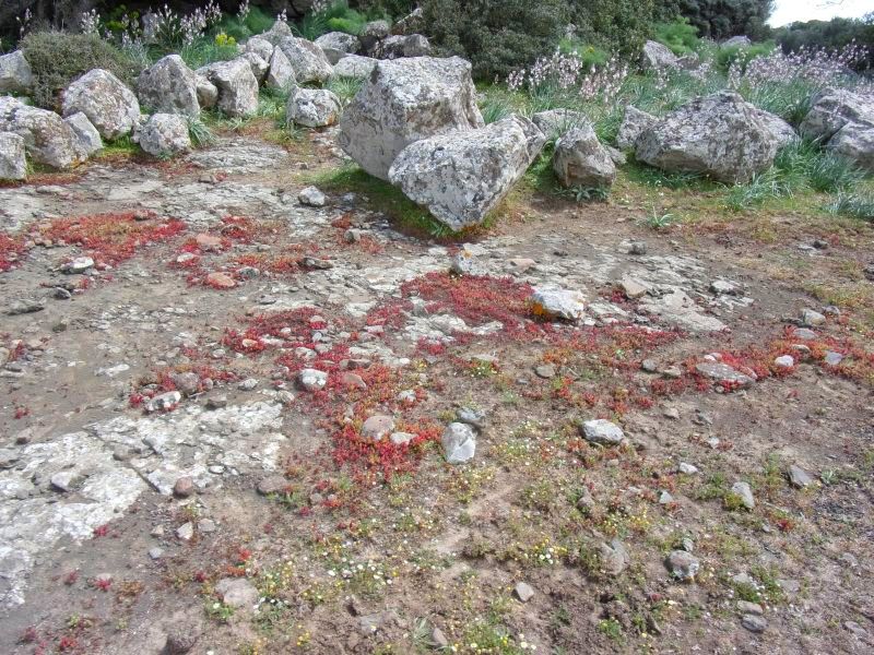 5 giorni nella Sardegna centrooccidentale: paesaggi ed altro.