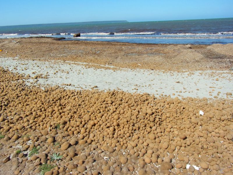 5 giorni nella Sardegna centrooccidentale: paesaggi ed altro.