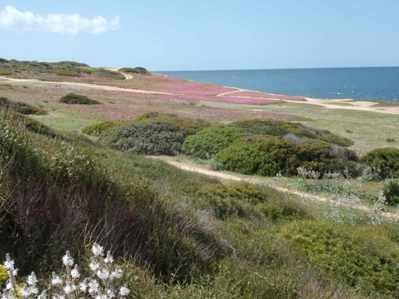 5 giorni nella Sardegna centrooccidentale: paesaggi ed altro.