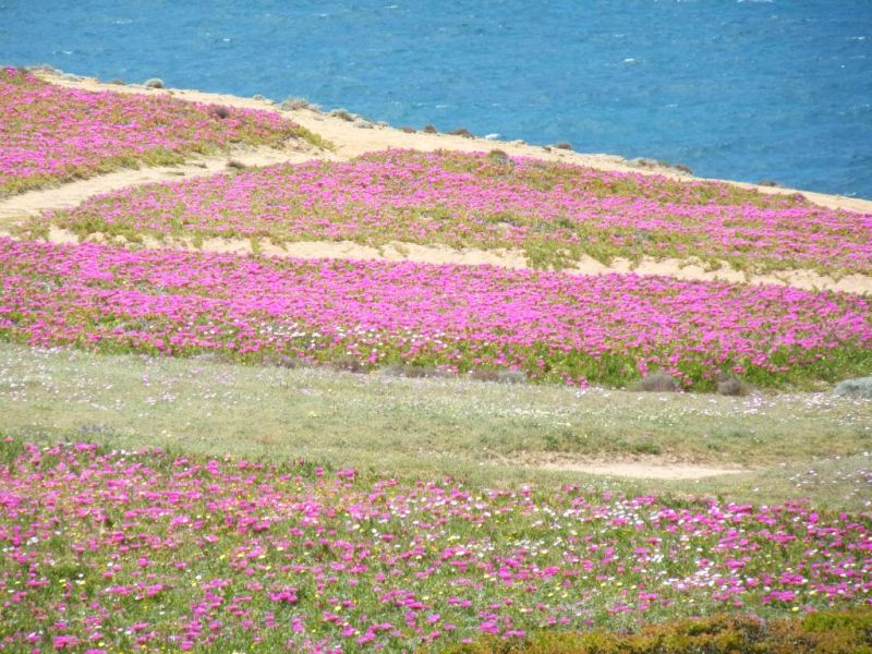 5 giorni nella Sardegna centrooccidentale: paesaggi ed altro.