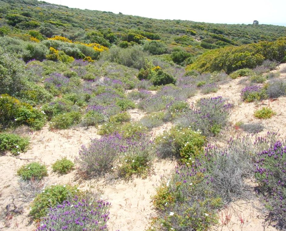 5 giorni nella Sardegna centrooccidentale: paesaggi ed altro.