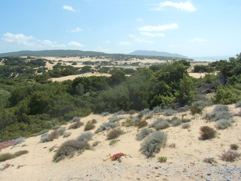 5 giorni nella Sardegna centrooccidentale: paesaggi ed altro.