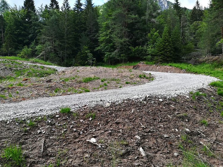 Devastazione torbiera alpina in Carnia