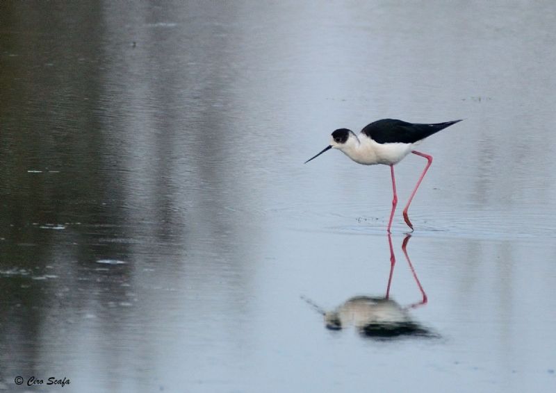 domenica mattina nel cremasco