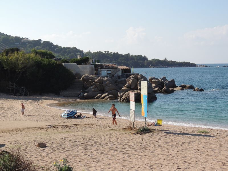 Un giro per cercare Limax (2007-2015)