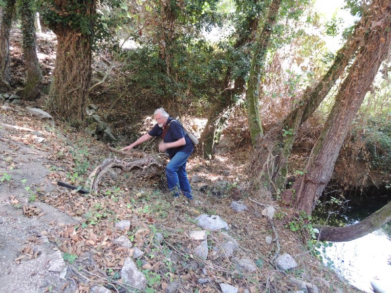 Un giro per cercare Limax (2007-2015)