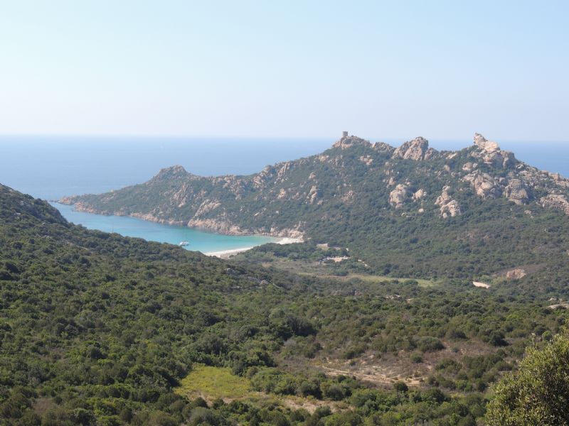 Un giro per cercare Limax (2007-2015)