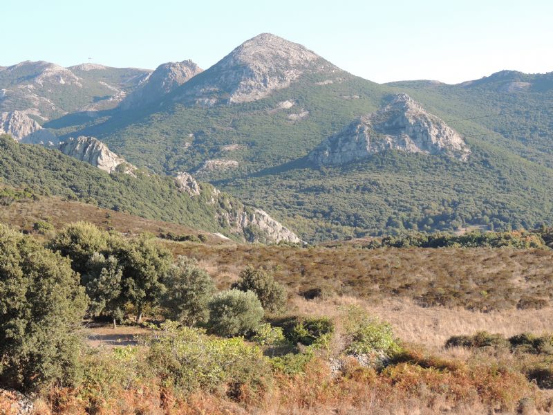Un giro per cercare Limax (2007-2015)