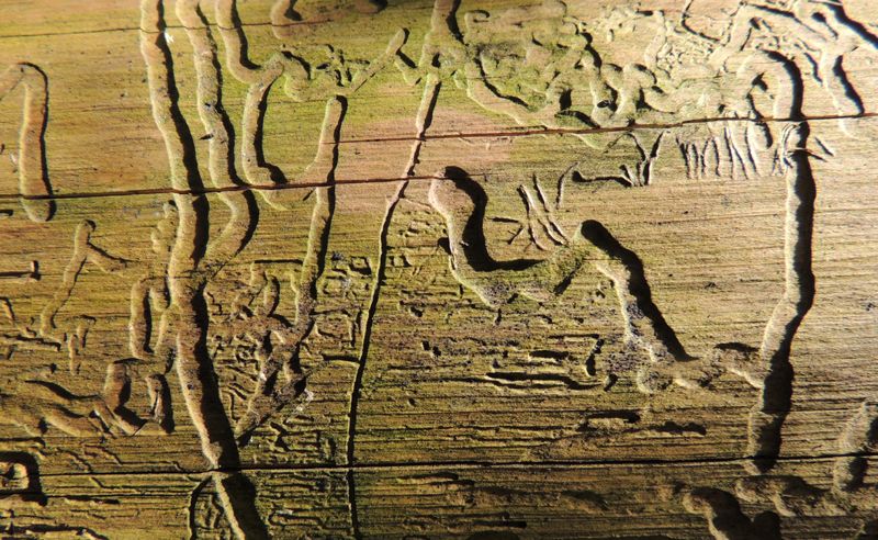 Un saluto da egitto....