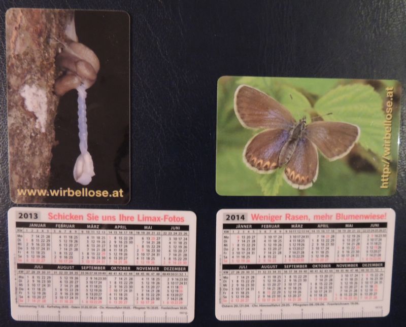 La nostra pubblicit�