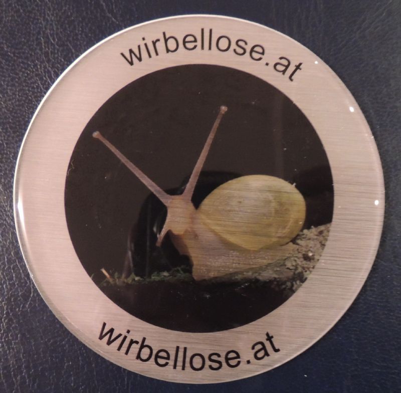 La nostra pubblicit�