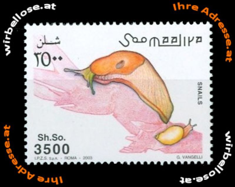 La nostra pubblicit�