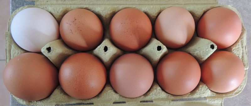 separatismo o biodiversit?