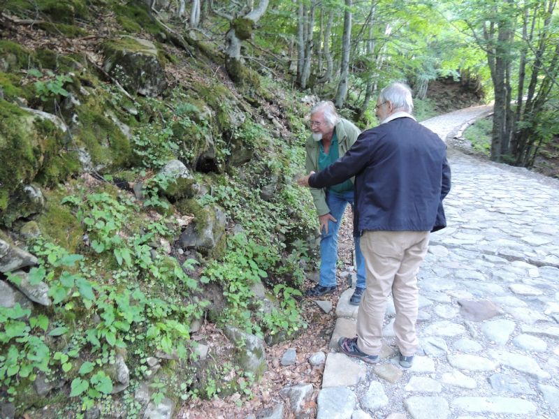 Limax-raduno Lago Santo (MO)