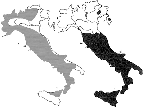 Chiavi di identificazione degli Zygaenidae d''Italia