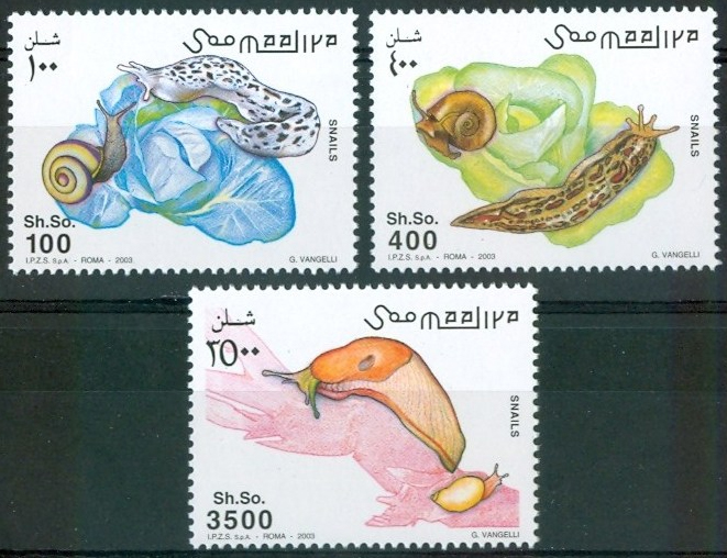 Limax dal signora/e G. Vangelli - Roma