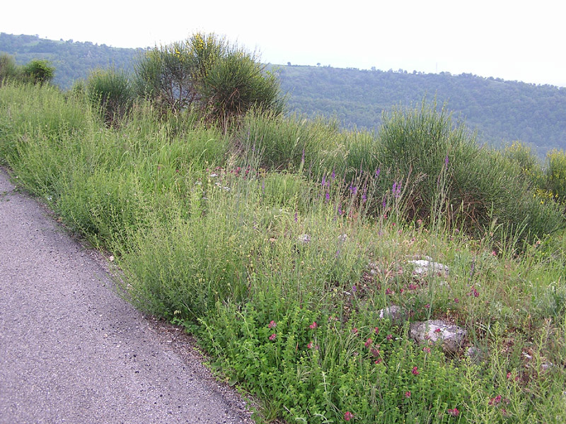 Ritrovamenti in Abruzzo