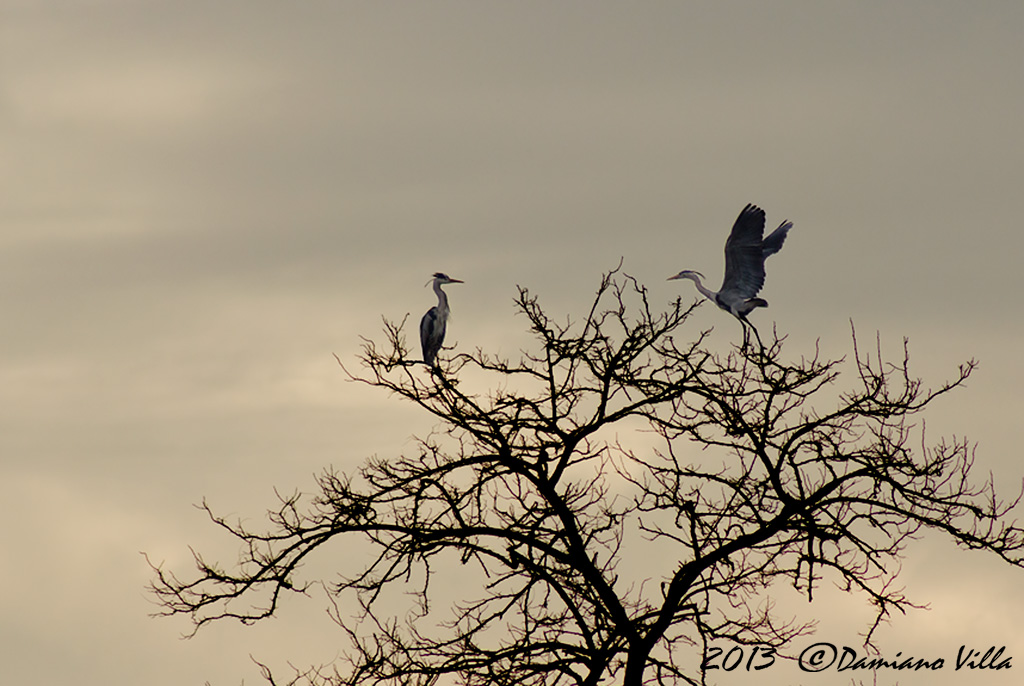 Sentori di primavera