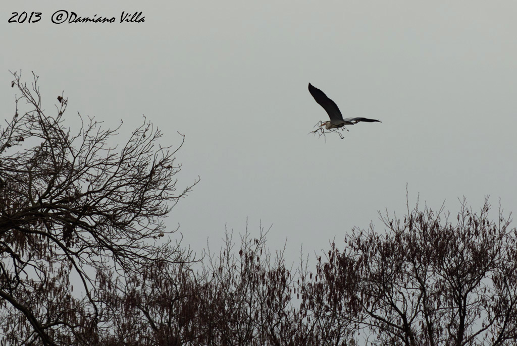 Sentori di primavera