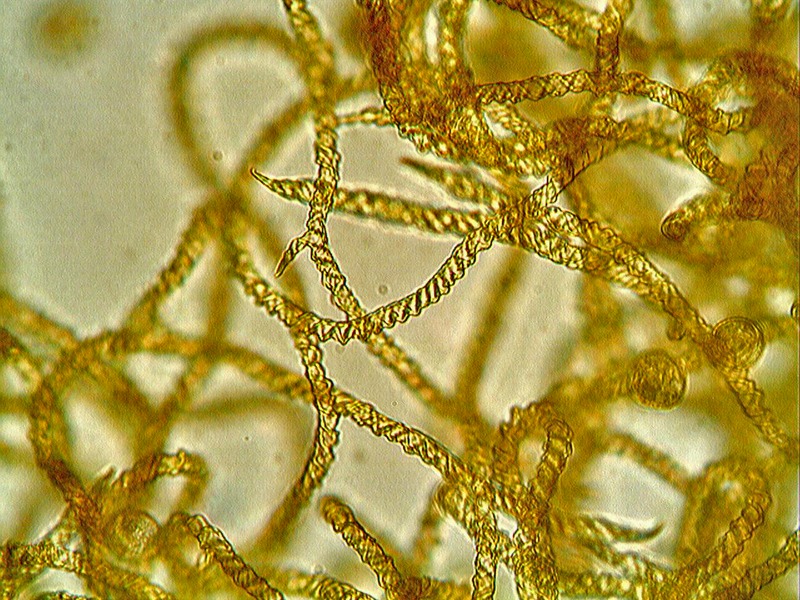 Escursione Monte Baldo 2
