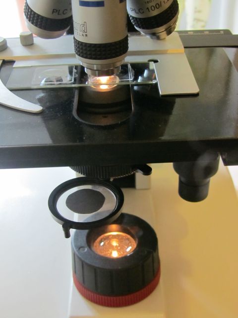 Presentazione, illuminazione obliqua e campo oscuro.