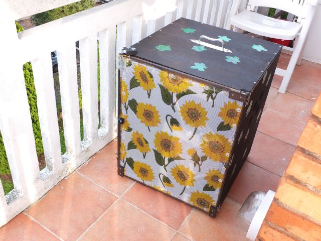 allevamento bruchi e crisalidi svernanti: richiesta consigli