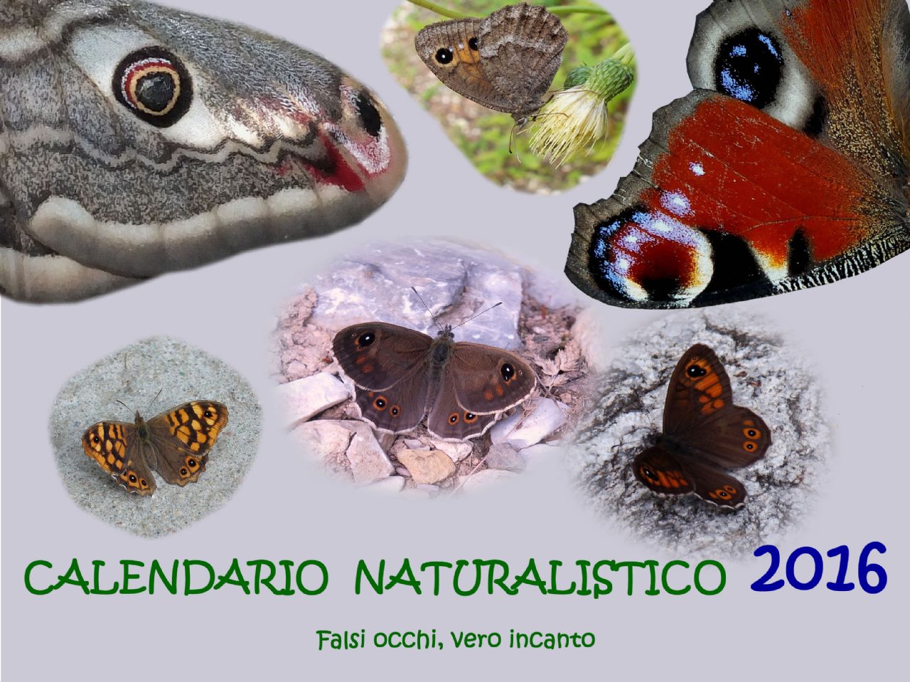 Calendarietto naturalistico
