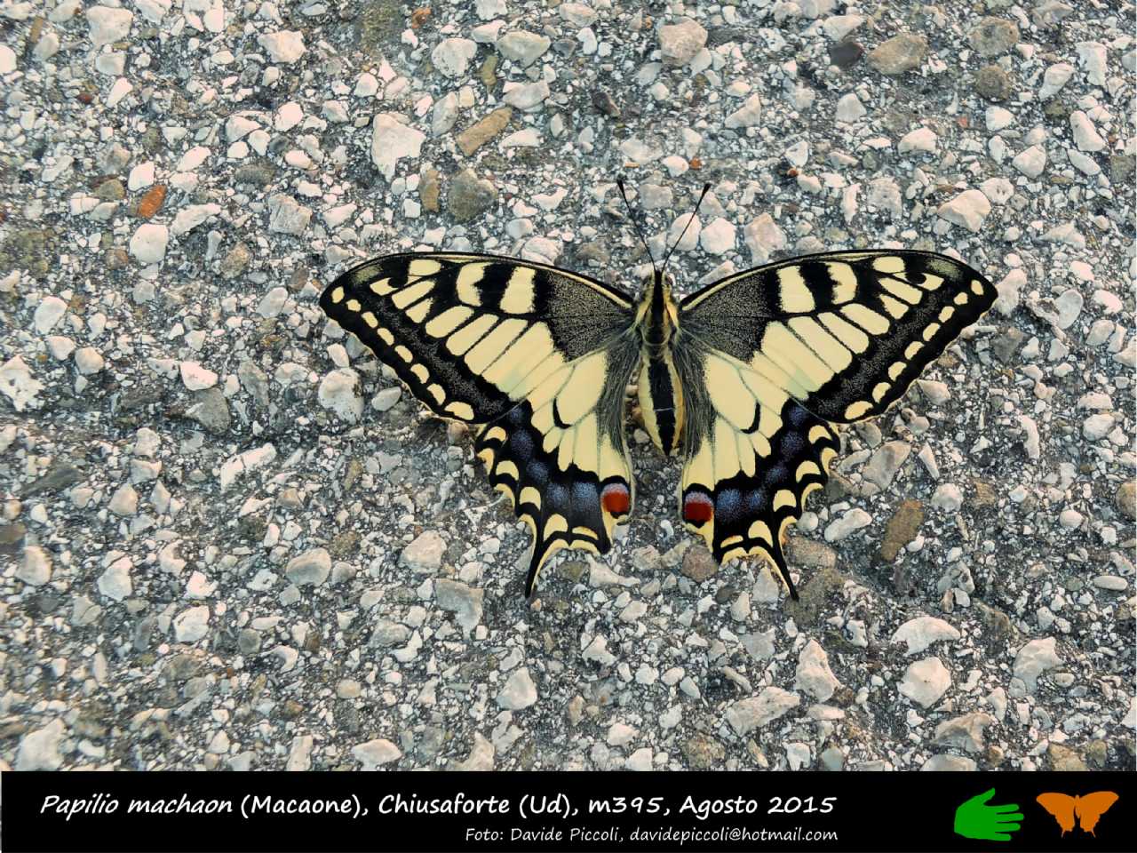 Calendarietto naturalistico