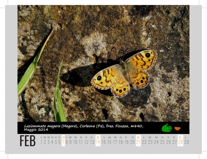 Calendarietto naturalistico