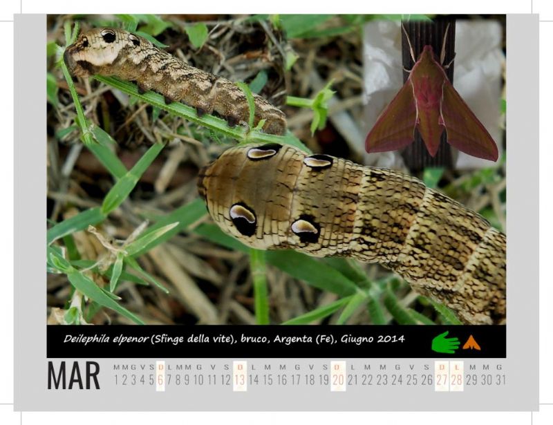 Calendarietto naturalistico