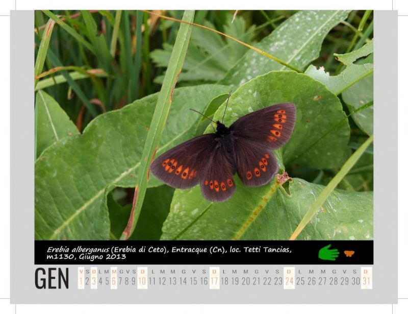 Calendarietto naturalistico