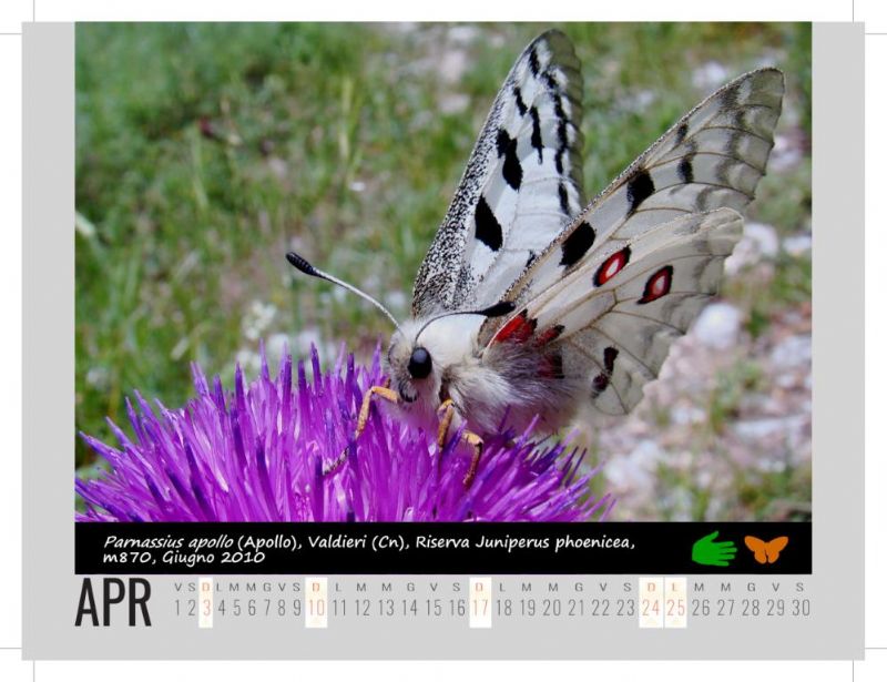 Calendarietto naturalistico