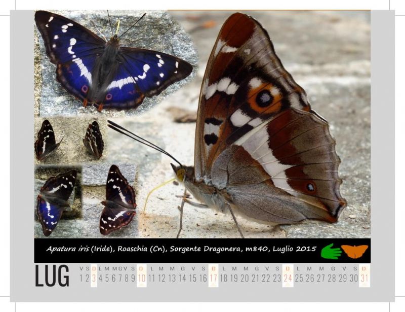 Calendarietto naturalistico