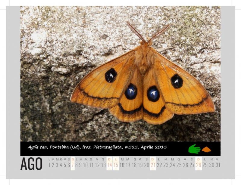 Calendarietto naturalistico