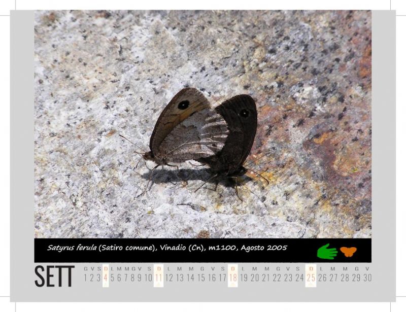 Calendarietto naturalistico